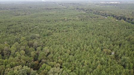 700 Acres Land for Sale Lincoln Parish, LA - image 8