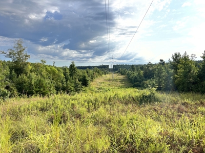 700 Acres Land for Sale Lincoln Parish, LA - image 45