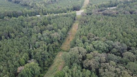 700 Acres Land for Sale Lincoln Parish, LA - image 7