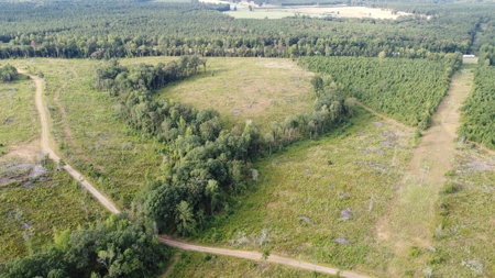 700 Acres Land for Sale Lincoln Parish, LA - image 21