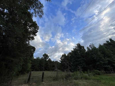 700 Acres Land for Sale Lincoln Parish, LA - image 28