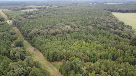 700 Acres Land for Sale Lincoln Parish, LA - image 9