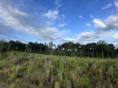 700 Acres Land for Sale Lincoln Parish, LA - image 32