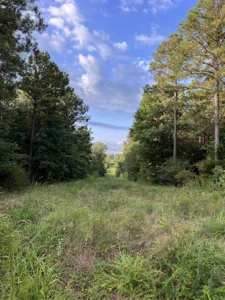700 Acres Land for Sale Lincoln Parish, LA - image 41