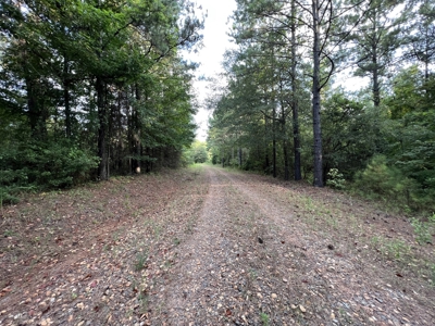 700 Acres Land for Sale Lincoln Parish, LA - image 39