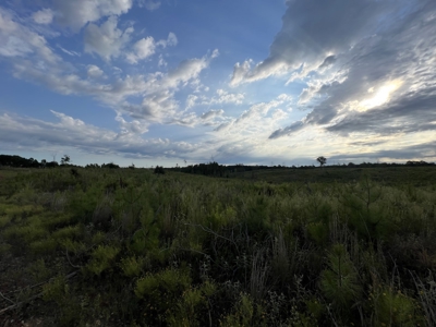 700 Acres Land for Sale Lincoln Parish, LA - image 31