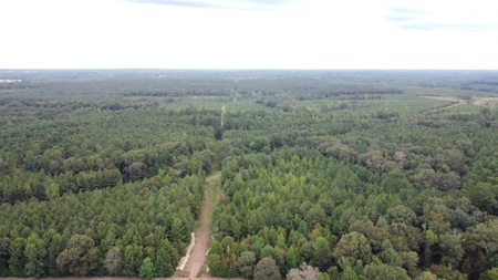 700 Acres Land for Sale Lincoln Parish, LA - image 1