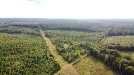 700 Acres Land for Sale Lincoln Parish, LA - image 15