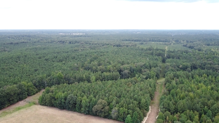 700 Acres Land for Sale Lincoln Parish, LA - image 2
