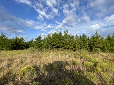 700 Acres Land for Sale Lincoln Parish, LA - image 37