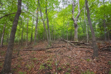 Wooded Land for Sale in Blacksburg VA - image 11