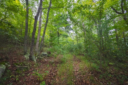 Wooded Land for Sale in Blacksburg VA - image 15