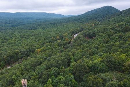 Wooded Land for Sale in Blacksburg VA - image 9