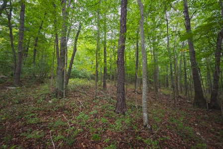 Wooded Land for Sale in Blacksburg VA - image 22
