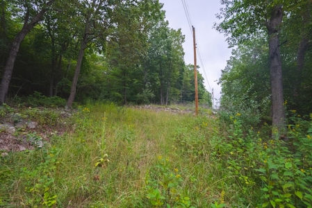Wooded Land for Sale in Blacksburg VA - image 13