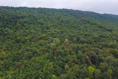 Wooded Land for Sale in Blacksburg VA - image 6