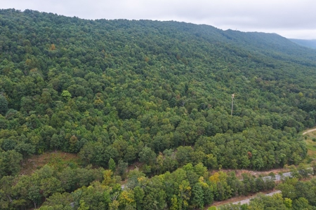 Wooded Land for Sale in Blacksburg VA - image 3