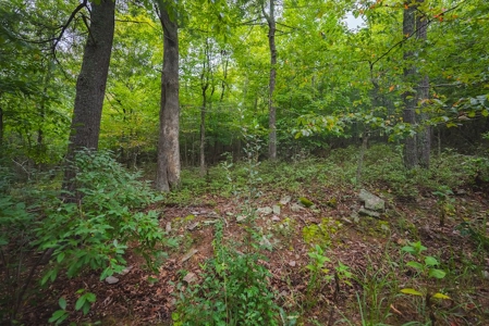 Wooded Land for Sale in Blacksburg VA - image 20
