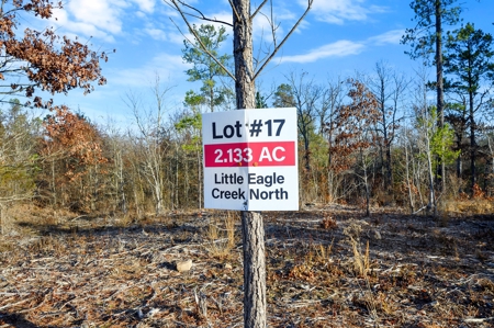 Tract 17 - Little Eagle Creek North Dev.– Creek Frontage - image 6