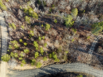 Tract 17 - Little Eagle Creek North Dev.– Creek Frontage - image 4