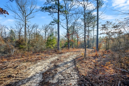 Tract 17 - Little Eagle Creek North Dev.– Creek Frontage - image 8
