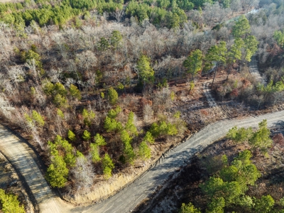 Tract 17 - Little Eagle Creek North Dev.– Creek Frontage - image 3