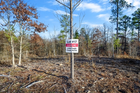 Tract 17 - Little Eagle Creek North Dev.– Creek Frontage - image 5