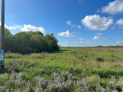 Land for Sale - image 4