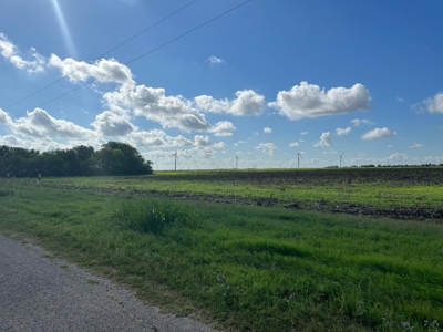 Land for Sale - image 1