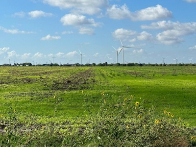 Land for Sale - image 8