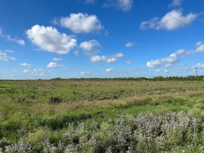 Land for Sale - image 5