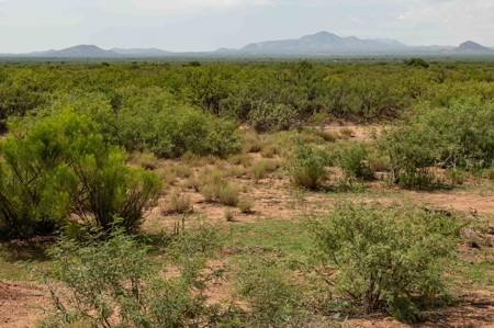 Land, McNeal, AZ  - 1,883.45+/- Ac,  REDUCED! - image 9