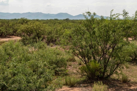 Land, McNeal, AZ  - 1,883.45+/- Ac,  REDUCED! - image 8