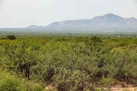 Land, McNeal, AZ  - 1,883.45+/- Ac,  REDUCED! - image 7
