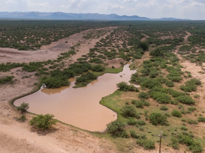 Land, McNeal, AZ  - 1,883.45+/- Ac,  REDUCED! - image 1