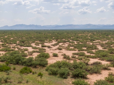 Land, McNeal, AZ  - 1,883.45+/- Ac,  REDUCED! - image 3