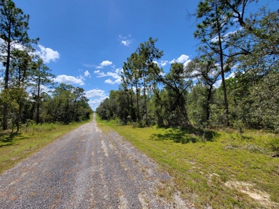 Homesite 1.0 Acre Lot In Rainbow Lakes Estates Florida - image 10