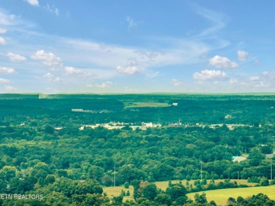 Commercial Land for Sale in Crossville, Tennessee - image 20