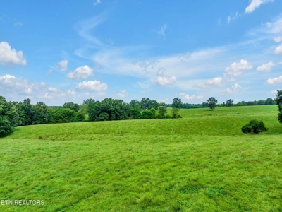 Commercial Land for Sale in Crossville, Tennessee - image 19