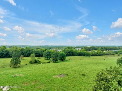 Commercial Land for Sale in Crossville, Tennessee - image 29