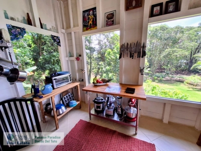Charming Waterfront Home, Bocas del Toro Panama - image 13