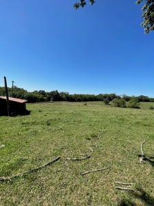 63.92+/- Acres in Buchanan County MO - image 10