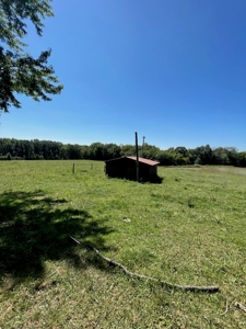 63.92+/- Acres in Buchanan County MO - image 31