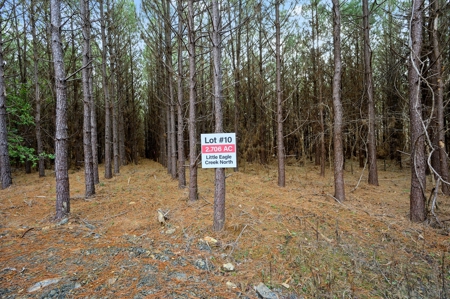 Tract 10 - Little Eagle Creek North Dev – Creek Frontage - image 7