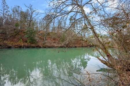 Tract 10 - Little Eagle Creek North Dev – Creek Frontage - image 1