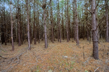 Tract 10 - Little Eagle Creek North Dev – Creek Frontage - image 8