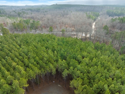 Tract 10 - Little Eagle Creek North Dev – Creek Frontage - image 3