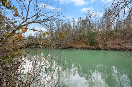 Tract 10 - Little Eagle Creek North Dev – Creek Frontage - image 10