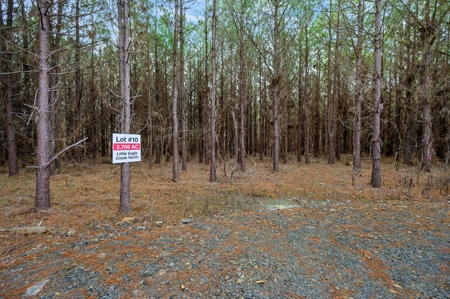 Tract 10 - Little Eagle Creek North Dev – Creek Frontage - image 6