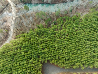 Tract 10 - Little Eagle Creek North Dev – Creek Frontage - image 5